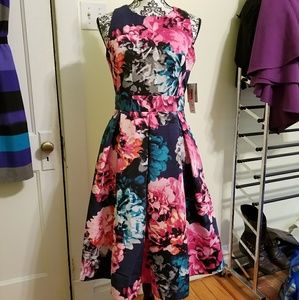 NWT Eliza J Floral, 6, Nordstrom/Modcloth